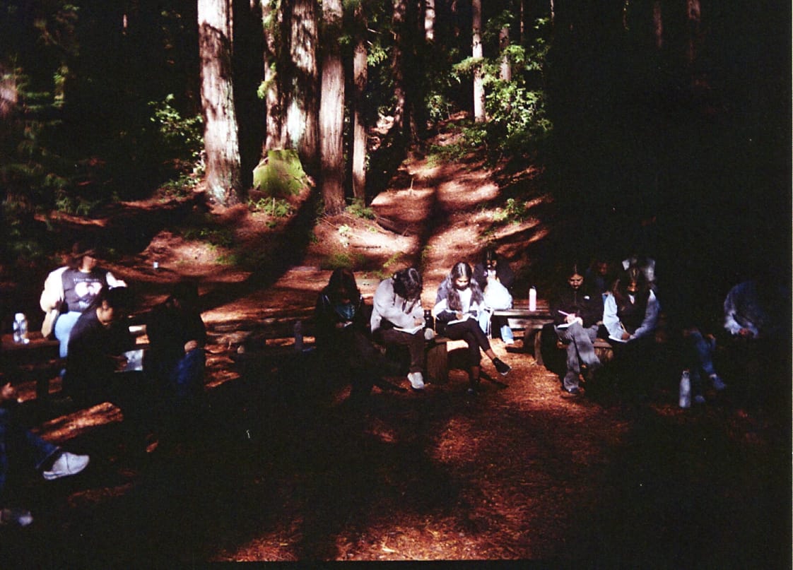 A group of young adults writing on benches surrounded by redwood trees